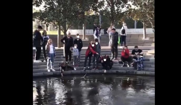 Bitrix 106982: Qu09I8fxr3c.jpg