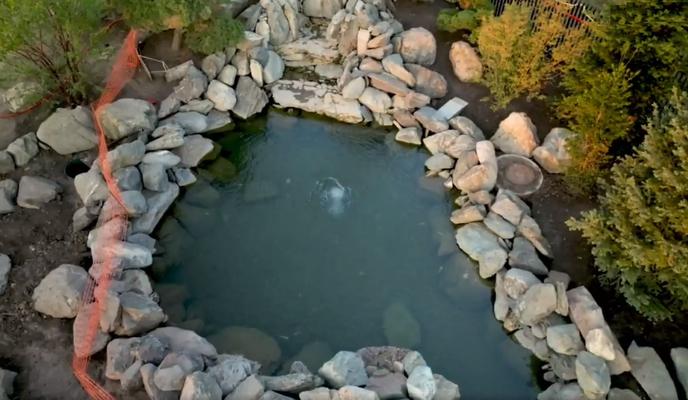 Bitrix 120162: Rybki-v-parke-Krasnodar.jpg