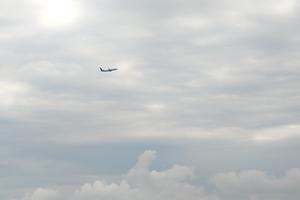 Bitrix 133614: Samolet-nebo-Adler1.jpg