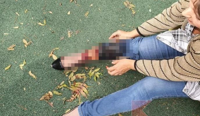 Bitrix 104933: Screenshot_20211003_163654.jpg