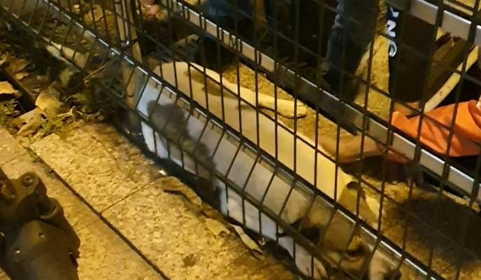 Bitrix 124710: Screenshot_20221017_102841_Video-Player.jpg