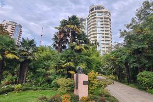 Bitrix 161104: Sochi-10.jpeg