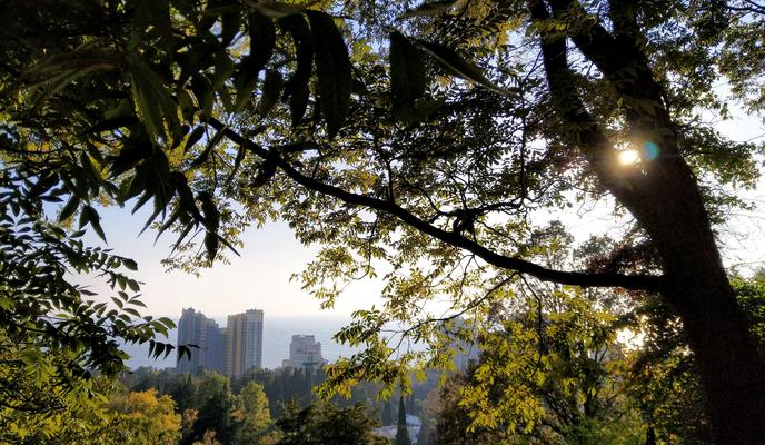 Bitrix 113444: Sochi-_1_-_2_.jpg