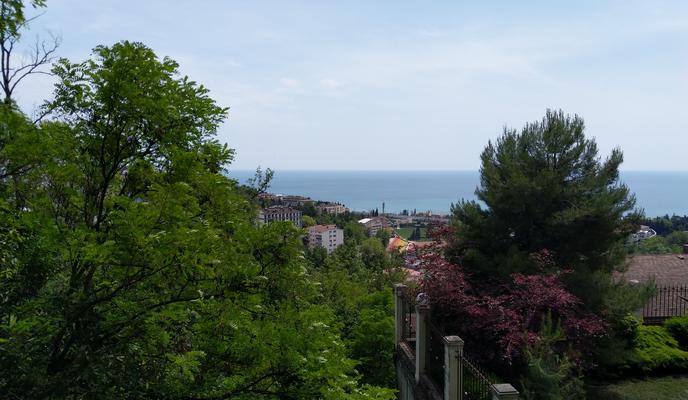 Bitrix 110875: Sochi-_5_.jpg