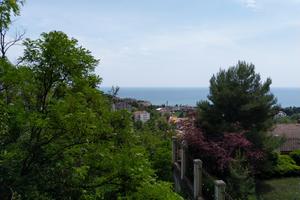 Bitrix 115717: Sochi-_8_.jpg