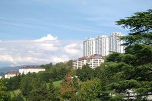 Bitrix 126927: Sochi-doma-nedvizhimost4.jpg