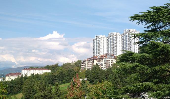 Bitrix 132972: Sochi-doma-nedvizhimost4.jpg