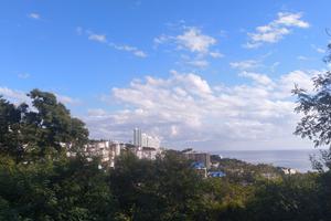 Bitrix 134047: Sochi-doma-nedvizhimost.jpg