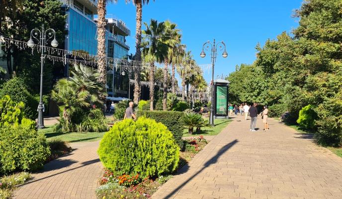 Bitrix 185311: Sochi-ulitsa1.jpeg