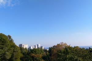 Bitrix 139192: Sochi1.jpg