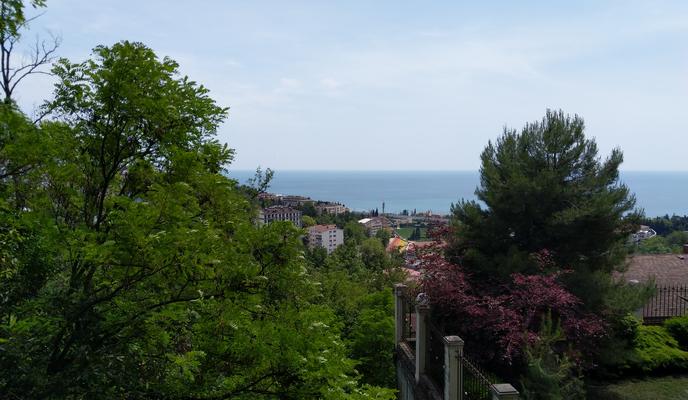 Bitrix 137370: Sochi.jpg