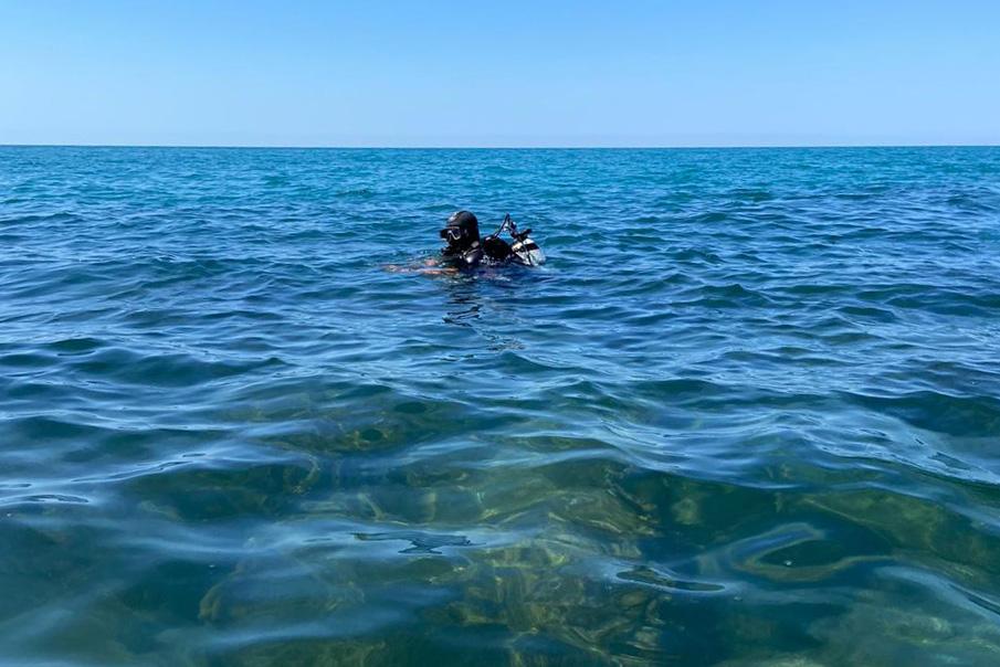 Bitrix 81694: Sochi_vov_2.jpg