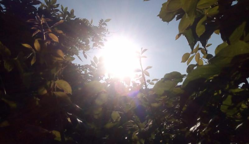 Bitrix 154342: Solntse_-zhara_-pogoda.jpeg