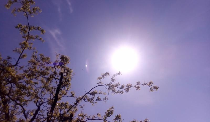 Bitrix 149502: Solntse.jpg