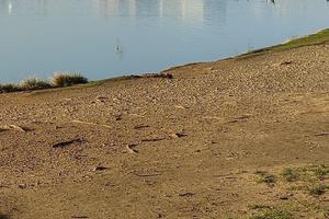 Bitrix 145694: Staraya-Kuban-park-reka-yanvar-.jpg
