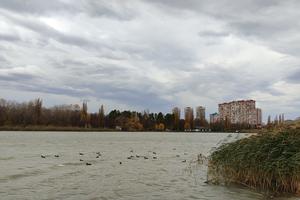 Bitrix 146036: Staraya-Kuban-veter-reka-osen-noyabr1.jpg
