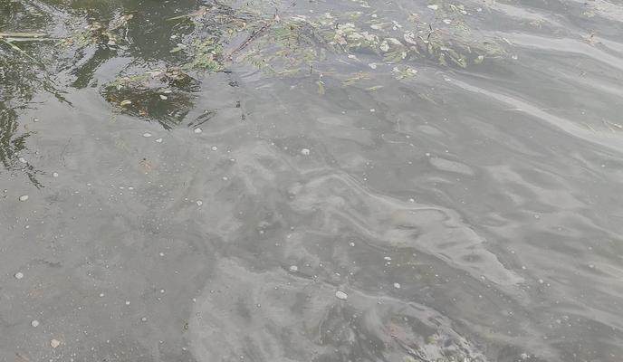 Bitrix 148677: Staraya-Kuban-voda-reka-_2_.jpg