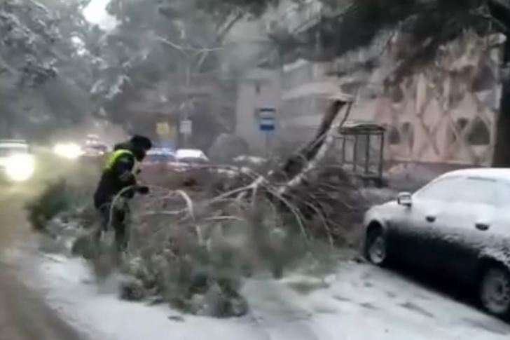 Bitrix 129481: T0GMi2x6tbqTGzJdoQ19JP7vQhnP7nc7mox0m0E6VrDth1PVD_JgpJNjcdByhpztD2TCOCBHJxCj7KhSeQU9FIeO.jpg