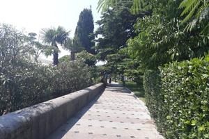 Bitrix 137845: TSentralnaya-naberezhnaya-_Primorskaya_-YAlta-Krym2.jpeg
