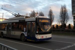 Bitrix 135195: Trolleybus-nomer-7_1_.jpg
