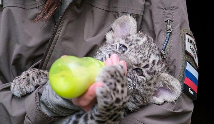 Bitrix 154921: TuaSVLfYhWA.jpg