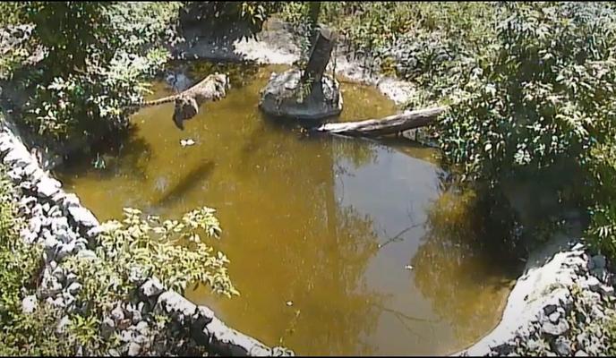 Bitrix 102190: U1rYATUNF9A.jpg