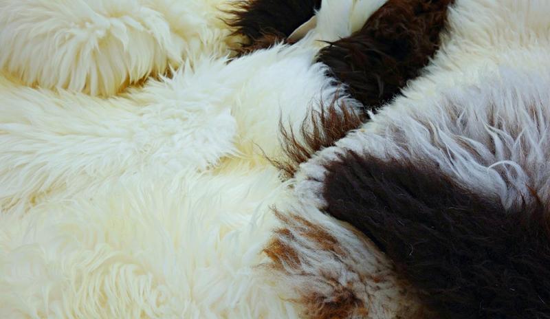 Bitrix 89520: VOeOGoSMVYQ.jpg