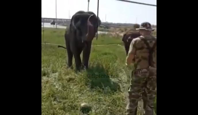 Bitrix 99924: W6Uka_bJKMw.jpg