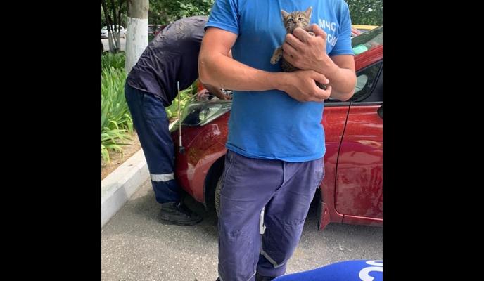 Bitrix 98459: WX1Jkah3F_Y.jpg