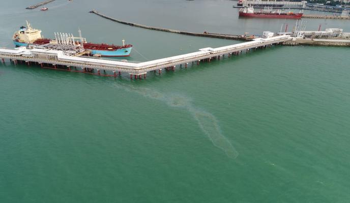 Bitrix 97308: WhatsApp-Image-2021_05_25-at-16.29.09.jpeg