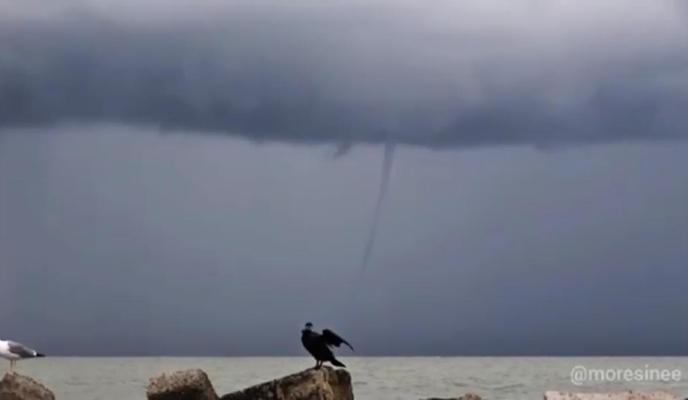 Bitrix 97326: WhatsApp-Image-2021_06_03-at-18.10.43.jpeg