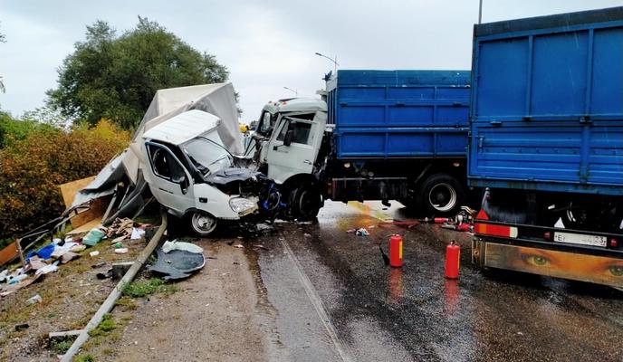 Bitrix 104178: WhatsApp-Image-2021_09_21-at-15.20.36.jpeg