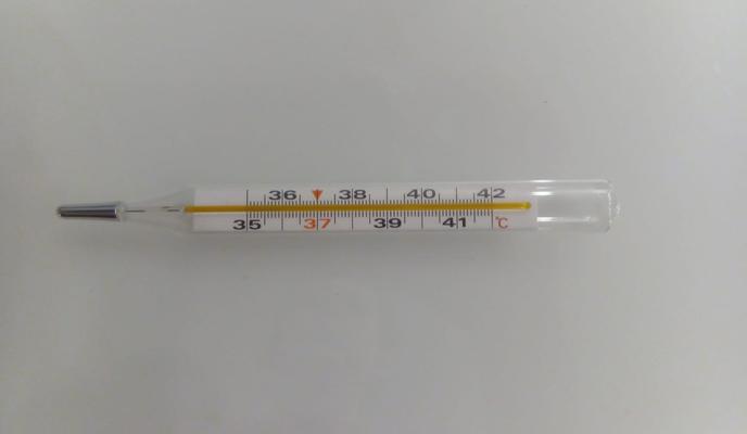 Bitrix 106725: WhatsApp-Image-2021_11_02-at-10.34.22.jpeg