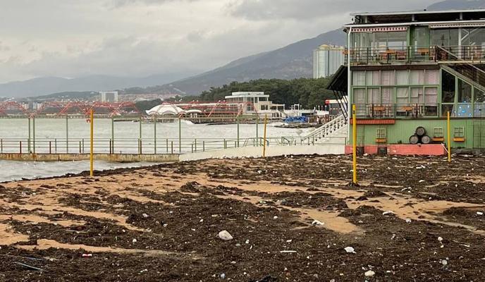 Bitrix 110364: WhatsApp-Image-2021_12_27-at-17.21.55.jpeg