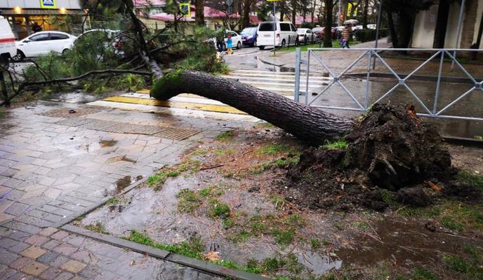 Bitrix 111483: WhatsApp-Image-2022_01_19-at-10.08.11.jpeg