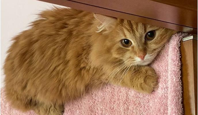 Bitrix 115388: WhatsApp-Image-2022_03_24-at-18.04.49.jpeg