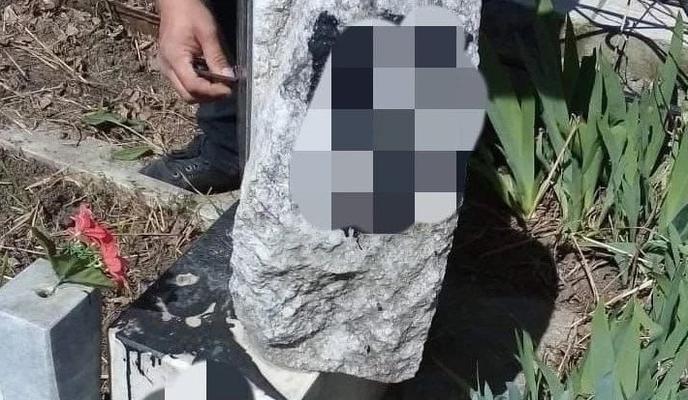 Bitrix 116239: WhatsApp-Image-2022_04_11-at-09.23.17.jpeg