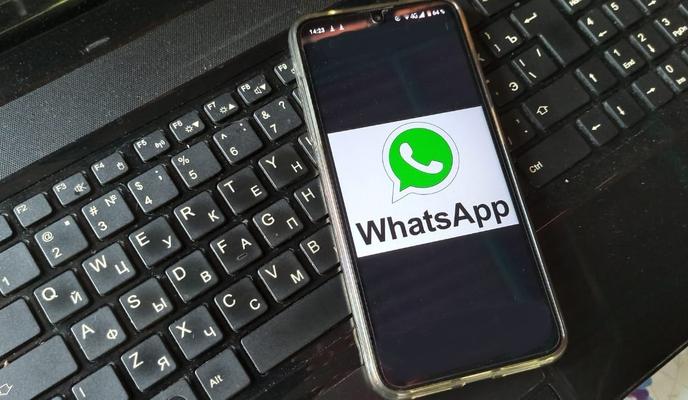 Bitrix 119944: WhatsApp-Image-2022_06_29-at-14.24.12.jpeg