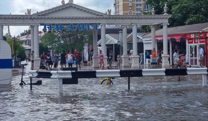 Bitrix 119083: WhatsApp-Image-2022_06_09-at-16.37.28.jpeg