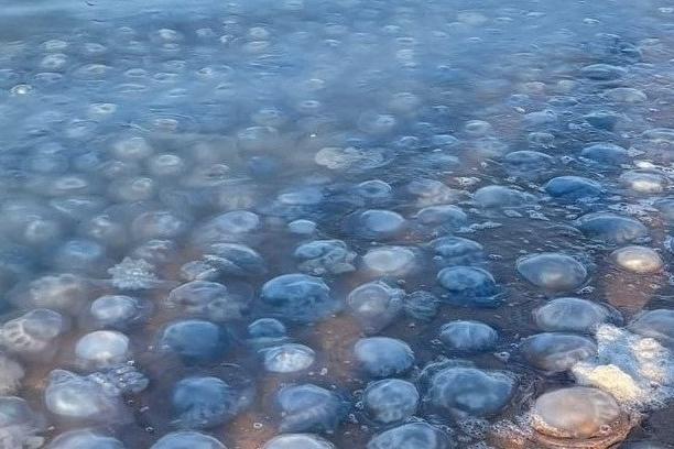 Bitrix 122280: WhatsApp-Image-2022_08_19-at-15.54.30.jpeg