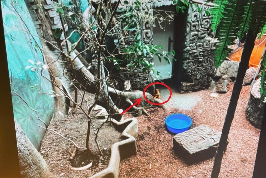 Bitrix 115807: WhatsApp-Image-2022_04_01-at-15.31.40.jpeg