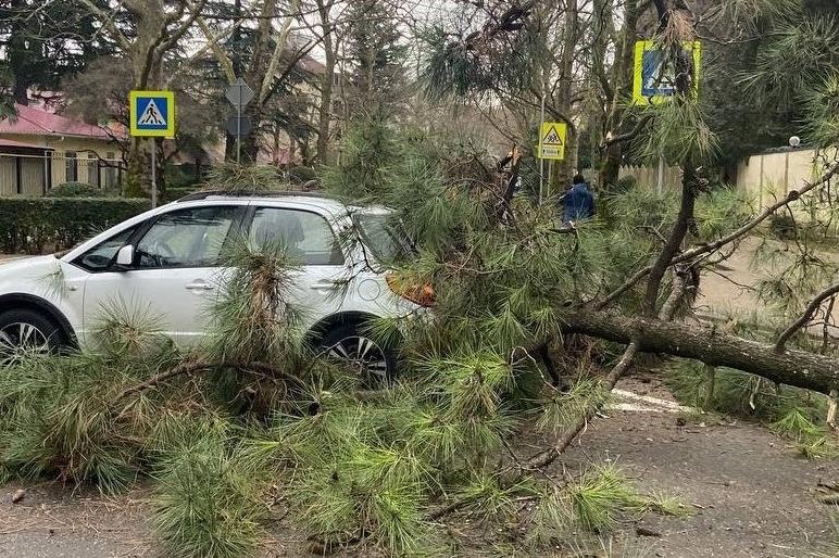 Bitrix 111482: WhatsApp-Image-2022_01_19-at-10.09.10.jpeg