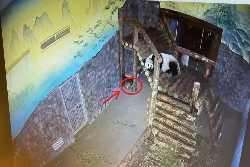 Bitrix 115805: WhatsApp-Image-2022_04_01-at-15.31.23.jpeg