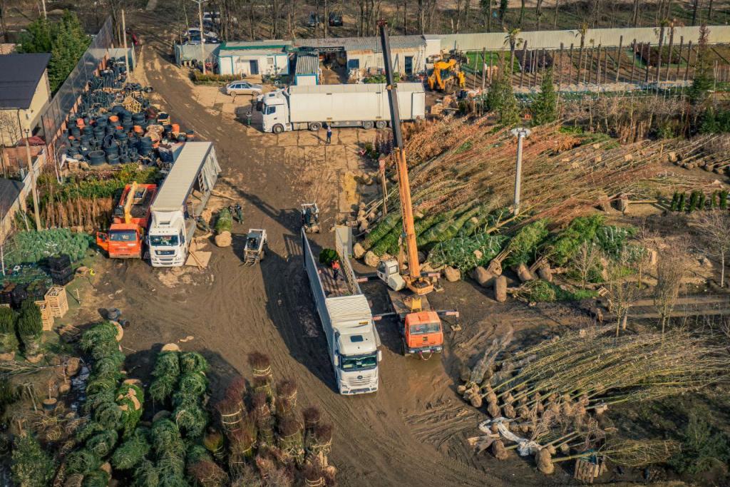 Bitrix 114992: WhatsApp-Image-2022_03_18-at-12.18.58.jpeg