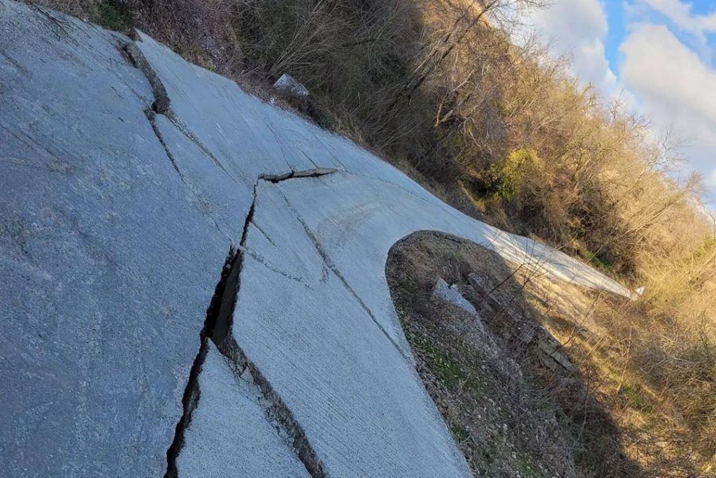 Bitrix 115970: WhatsApp-Image-2022_04_05-at-09.33.48.jpeg