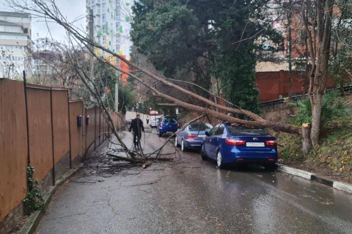 Bitrix 111481: WhatsApp-Image-2022_01_19-at-10.08.41.jpeg