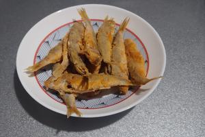 Bitrix 126120: WhatsApp-Image-2022_11_18-at-17.14.33.jpeg
