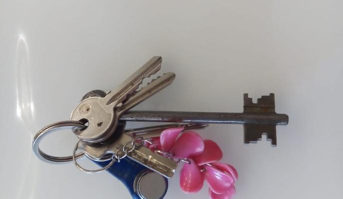 Bitrix 128513: WhatsApp-Image-2023_01_13-at-15.25.04.jpeg