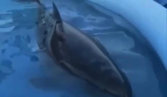 Bitrix 131375: WhatsApp-Image-2023_03_24-at-16.51.10.jpeg