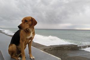 Bitrix 135151: WhatsApp-Image-2023_06_12-at-13.30.19.jpeg